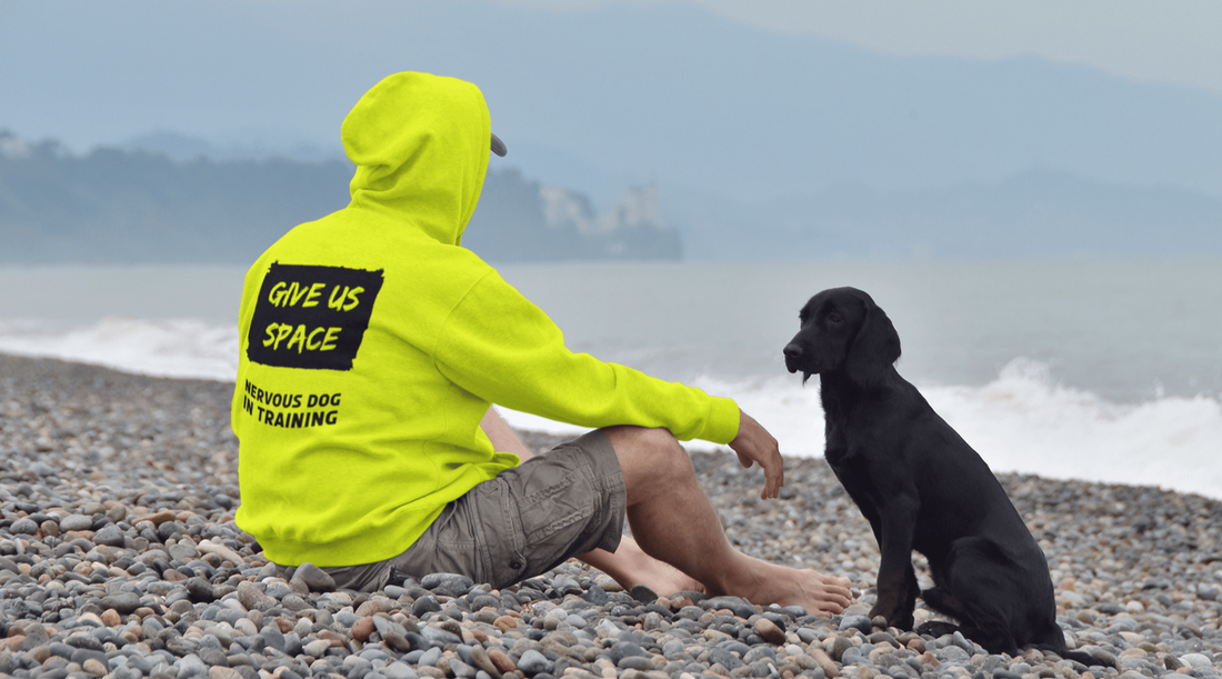 Enhance Your Reactive Dog Training With High-Vis Awareness Apparel