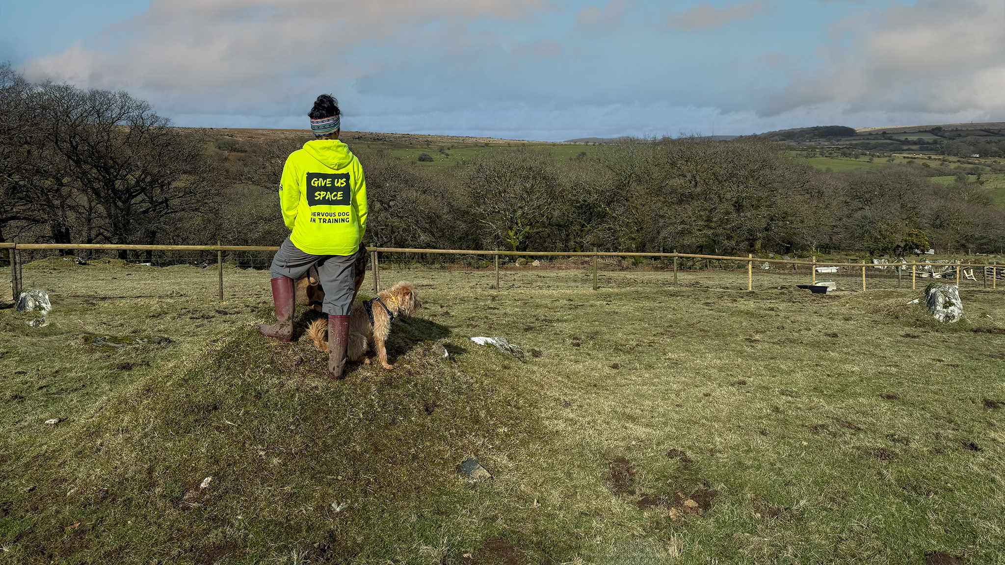 nervy-mutt-nervous-dog-hoody-homepage-banner-field