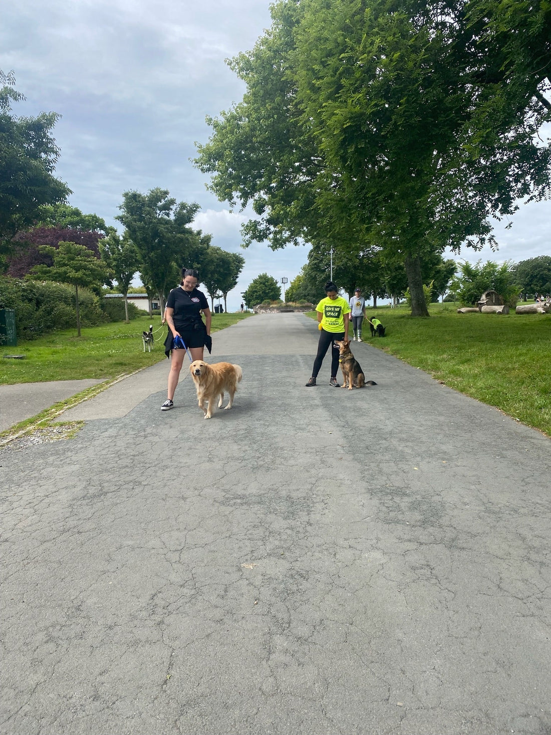 How to Advocate for Your Dog in Public (Without Losing Your Mind)