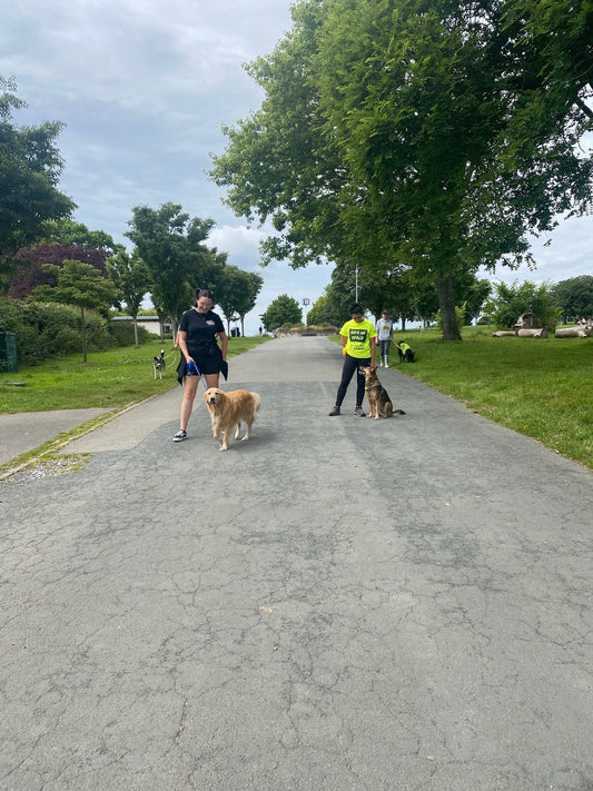 How to Advocate for Your Dog in Public (Without Losing Your Mind)