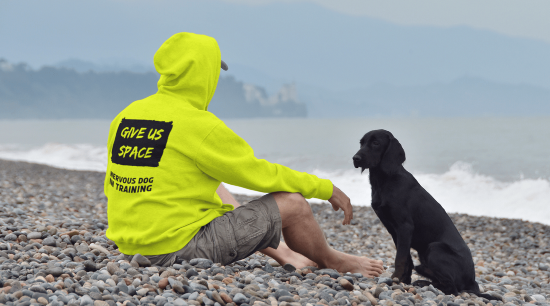 Does High Vis Apparel For Reactive Dog Training Really Work Nervy Mutt Ltd