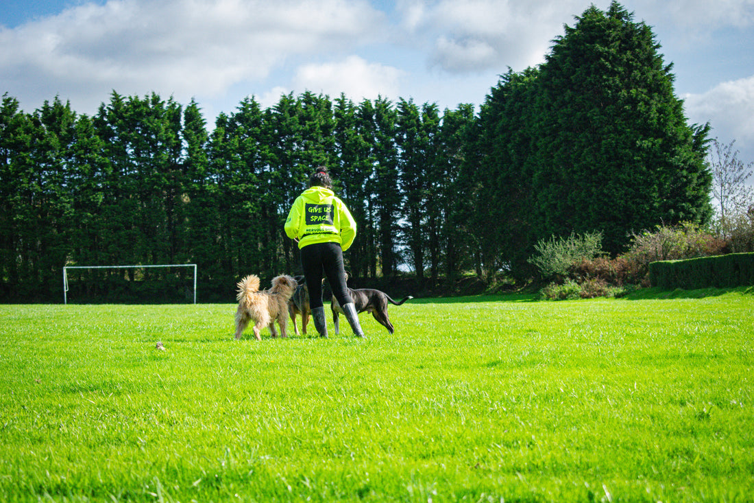 The Hidden Mental Health Impact of Owning a Reactive Dog