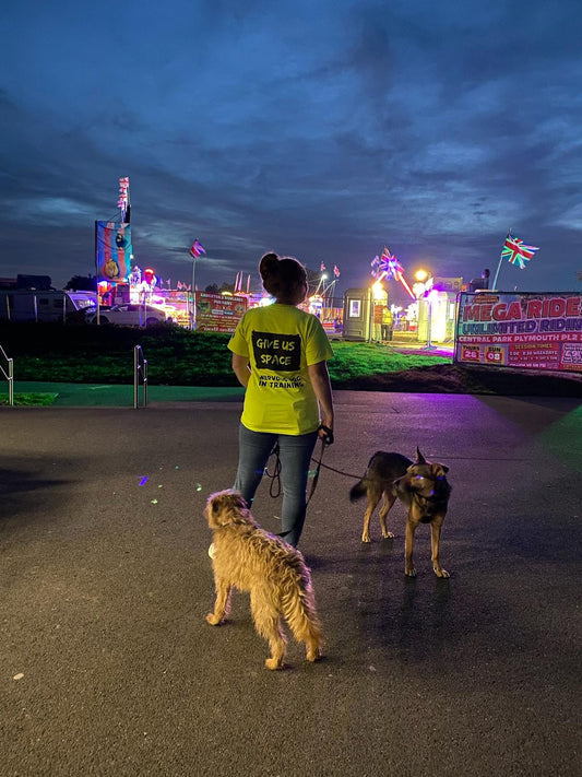 How to Stop People Approaching Your Dog Without Being Rude