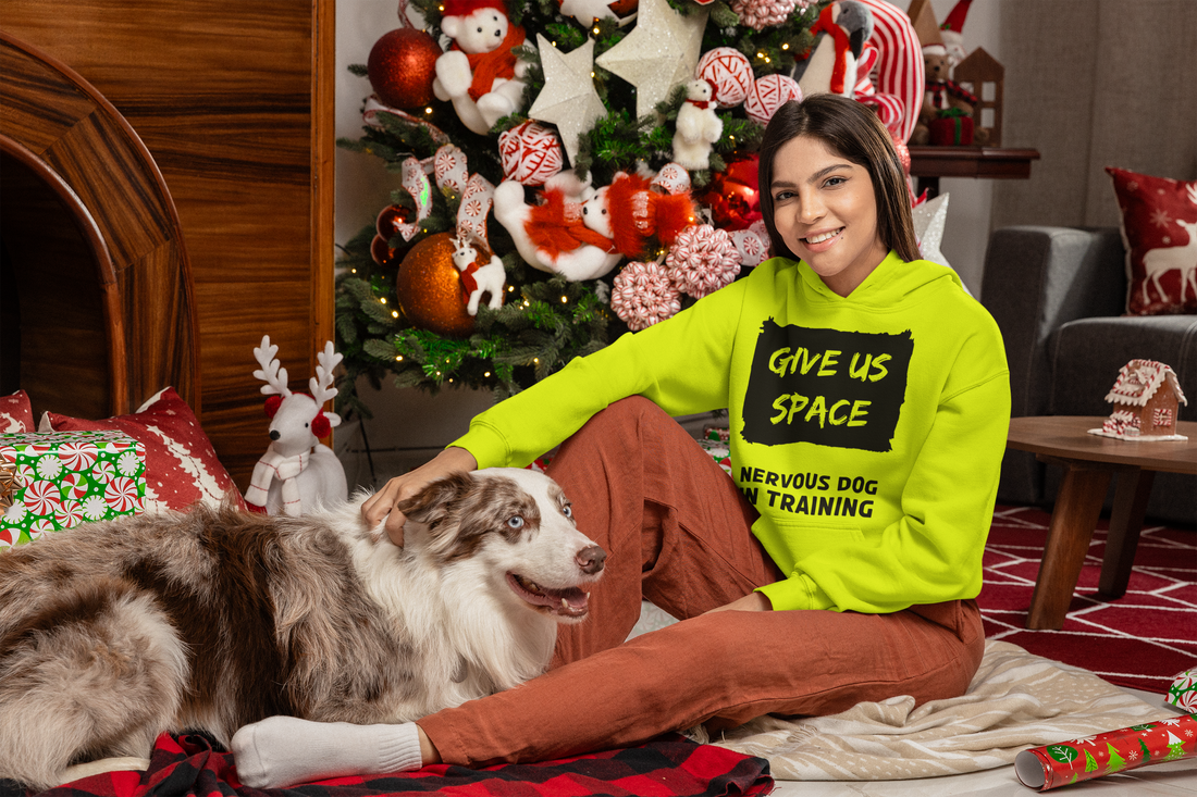 Christmas Tips for Anxious and Reactive Dogs