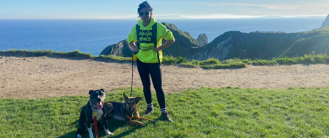 Visiting Dorset With A Reactive Dog