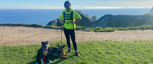 Visiting Dorset With A Reactive Dog