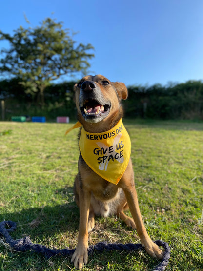 Nervous Dog Bandana "GIVE US SPACE"