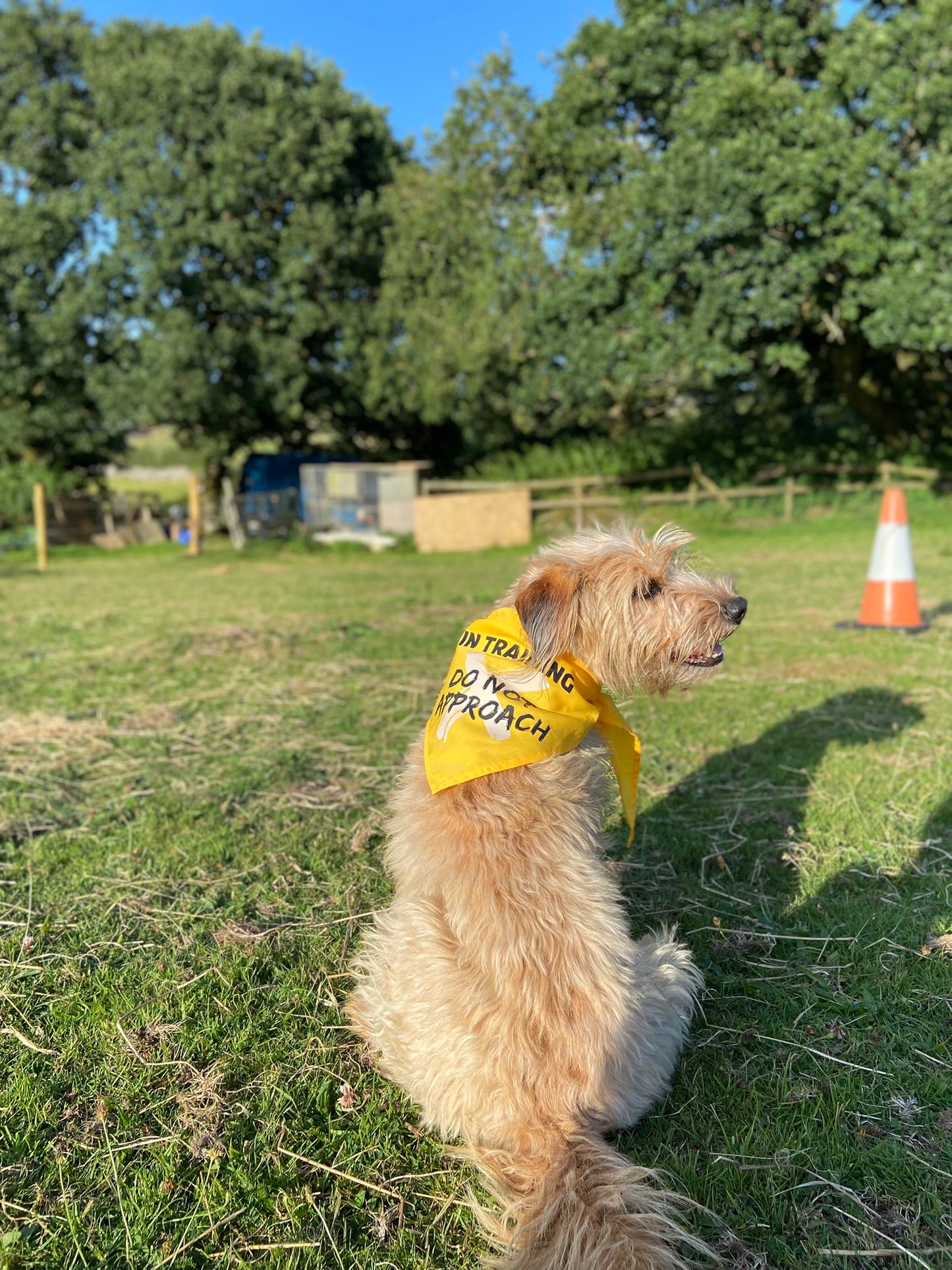 In Training Dog Bandana - “DO NOT APPROACH”
