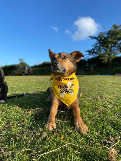 Nervous Dog Bandana "GIVE US SPACE"