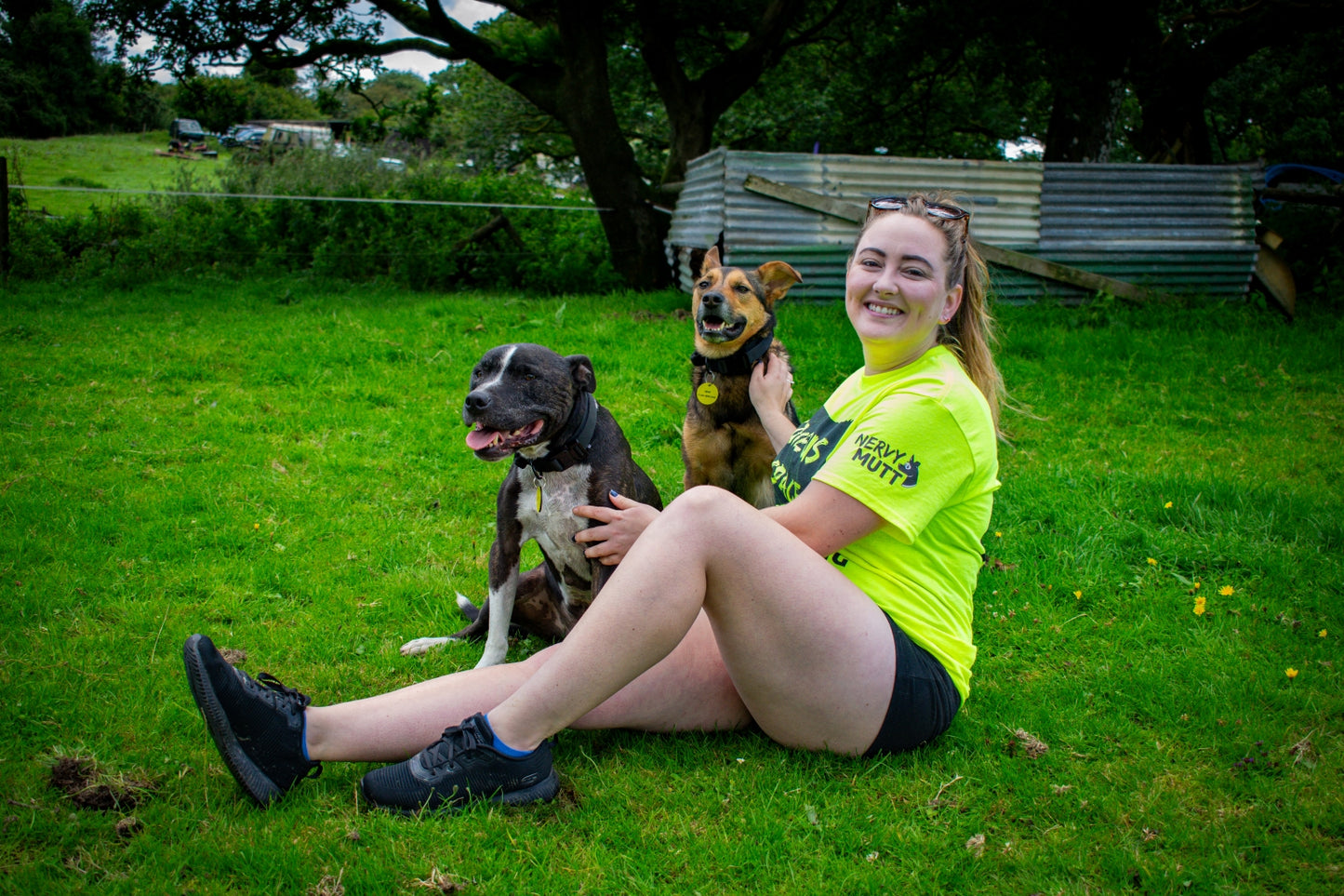 lady-sat-on-grass-wearing-high-vis-yellow-give-us-space-nervy-mutt-tshirt-with-two-dogs