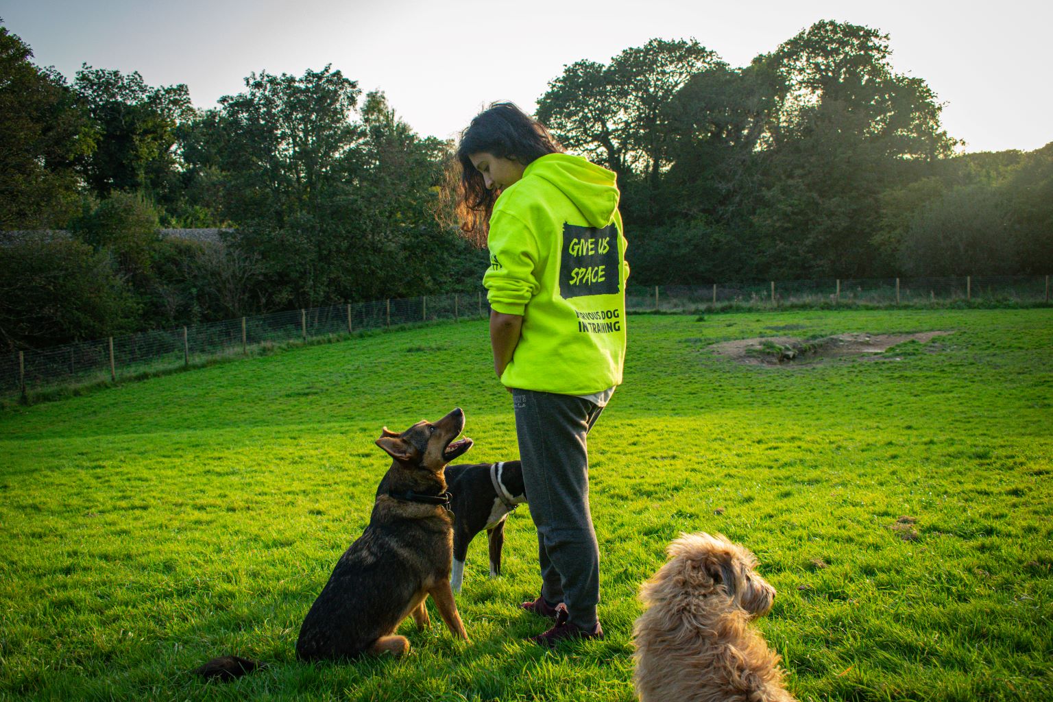 lady-wearing-high-vis-give-us-space-hoody-training-nervous-dogs-in-fenced-paddock